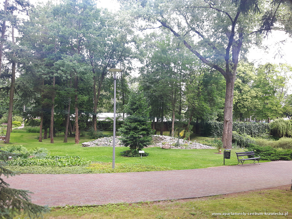 atrakcje-zielona-gora-023