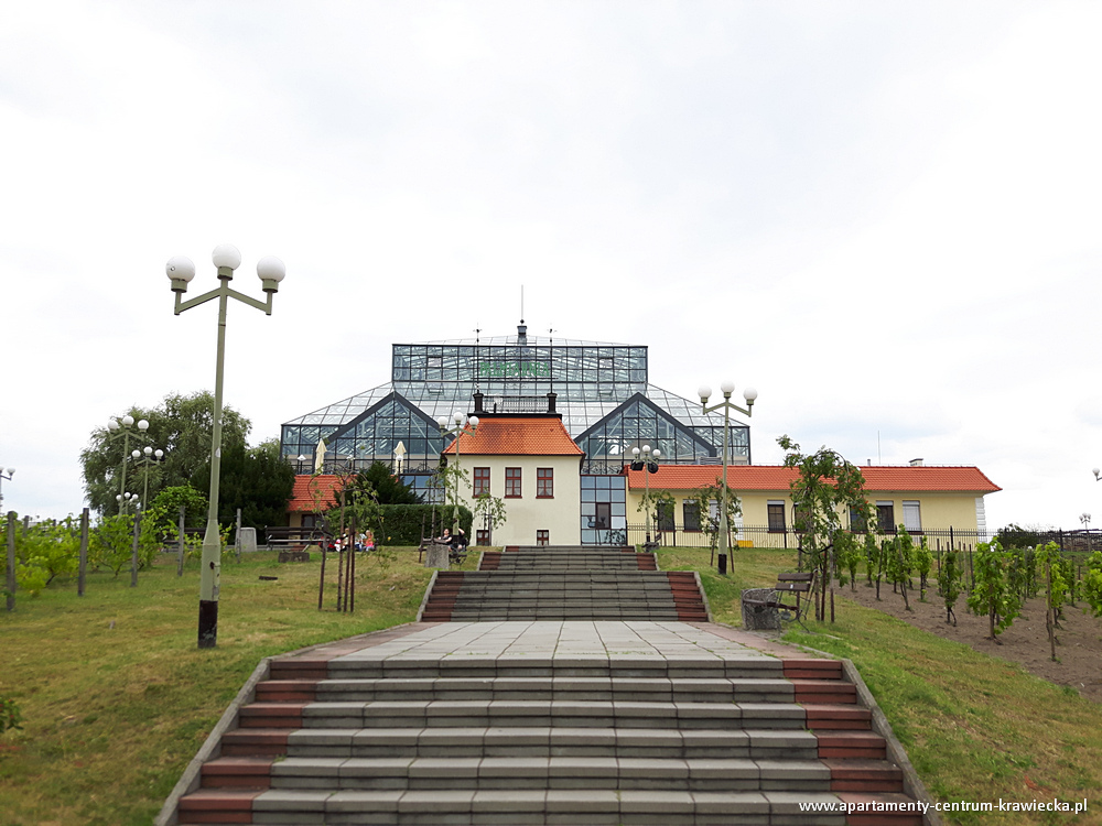 atrakcje-zielona-gora-016